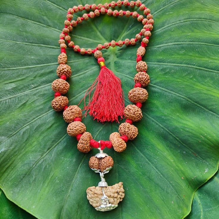 1 to 14 Mukhi Combination