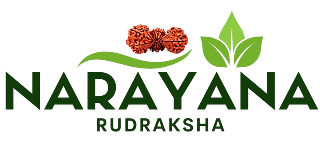 Rishi Rudraksha